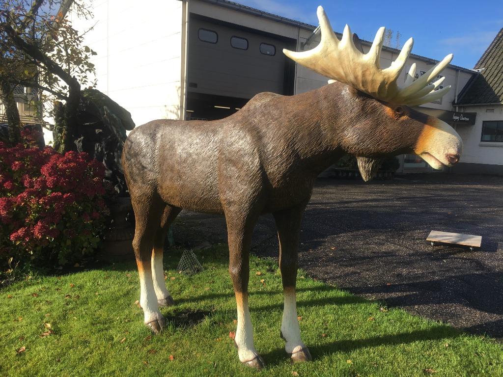 Eland -Edelhert-beeld-eland-herten kop -ware grootte, Ophalen of Verzenden, Nieuw, Kunststof, Dierenbeeld