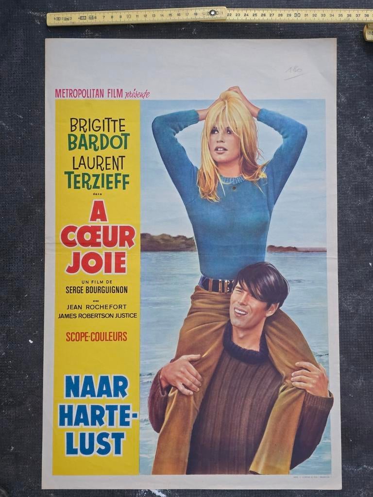 Filmposter van Brigitte Bardot, Verzamelen, Ophalen of Verzenden, Gebruikt, Film, Poster