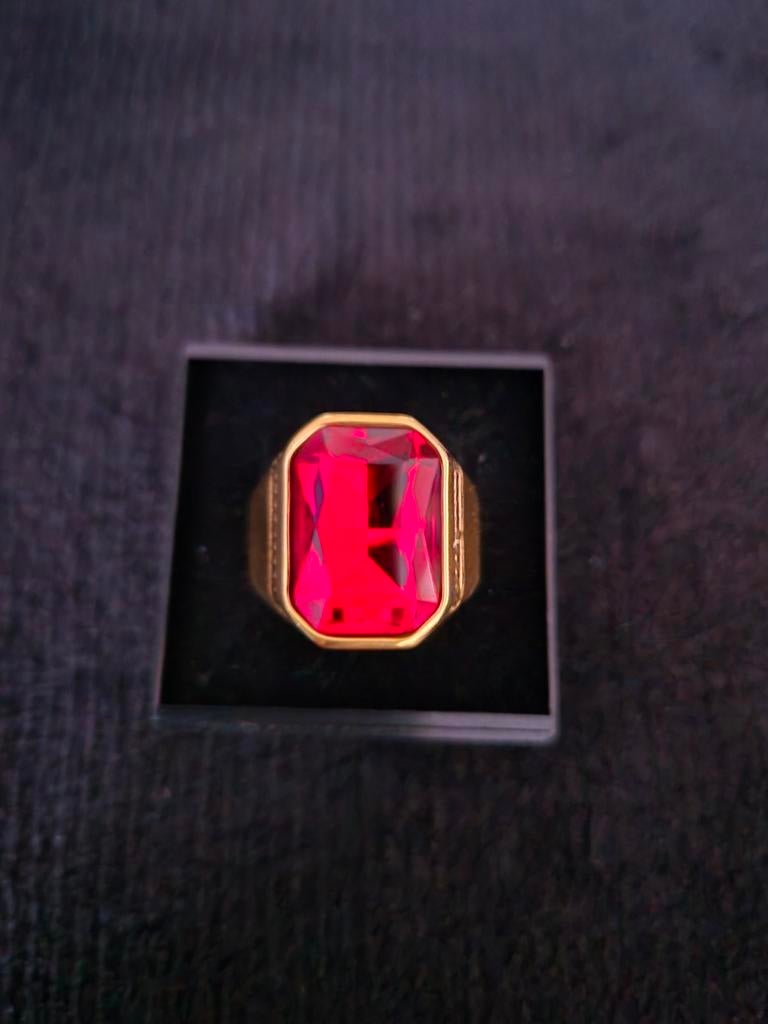 Nieuwe herenring in stainless steel maat 11, Neuf, Enlèvement ou Envoi, Homme, Fer ou Acier