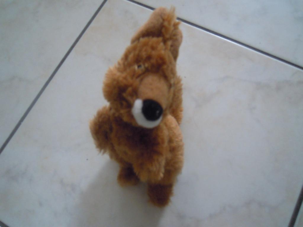 knuffel discovery channel kangeroe(doos 2024 2 ), Ophalen of Verzenden, Nieuw