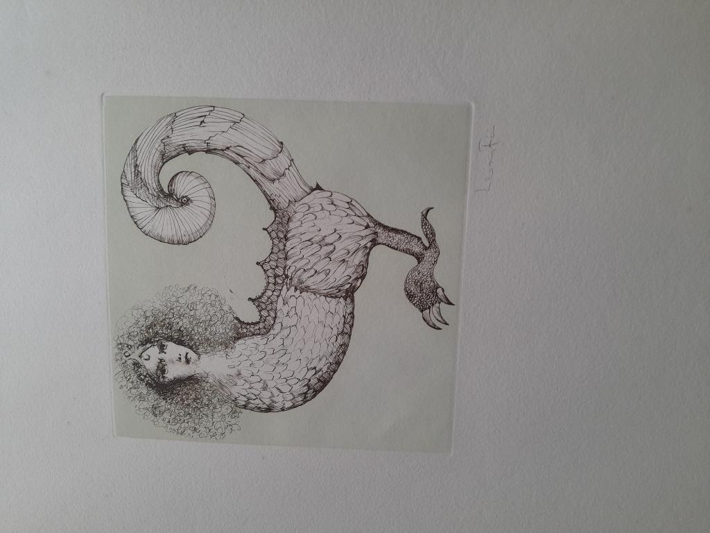 werken van leonor fini, Antiquités & Art, Enlèvement