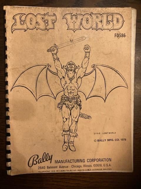 BALLY LOST WORLD MANUAL, Verzamelen, Gebruikt, Elektronisch, Bally, Ophalen of Verzenden
