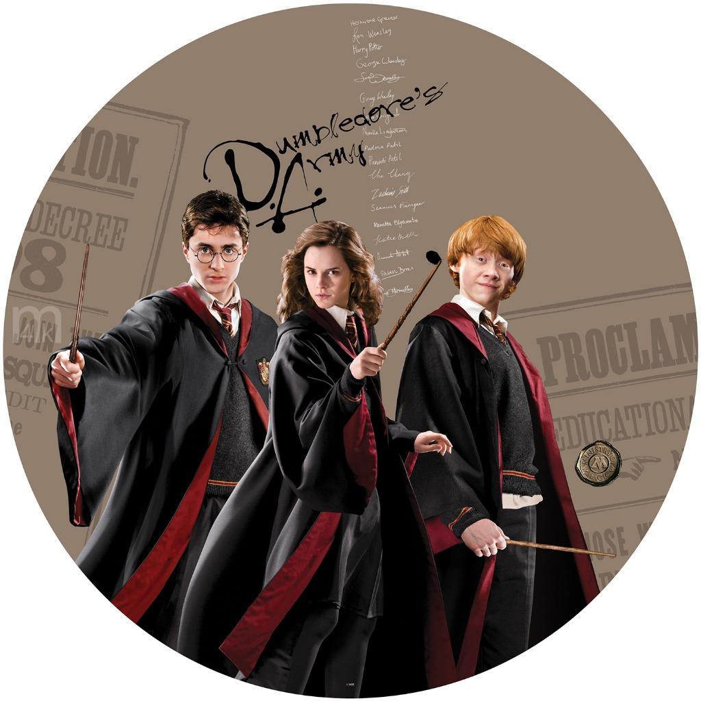 Harry Potter muurcirkel D.A., Harry potter behang,  € 59,95, Ophalen of Verzenden, Nieuw