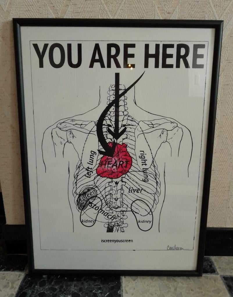 You Are Here anatomie poster in kader - 53x73cm, Ophalen of Verzenden, Zo goed als nieuw