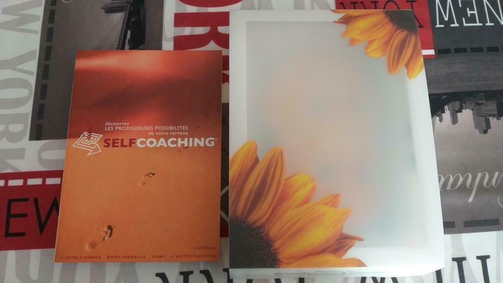 Coffret Selfcoaching - 1 livre + 2 CD, Enlèvement ou Envoi, Comme neuf