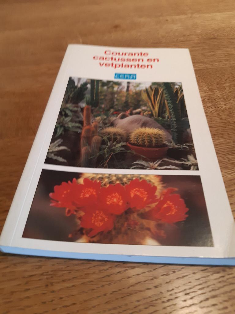 boek courante cactussen en vetplanten, Boeken, Ophalen of Verzenden, Zo goed als nieuw, Tuinieren en Tuinplanten