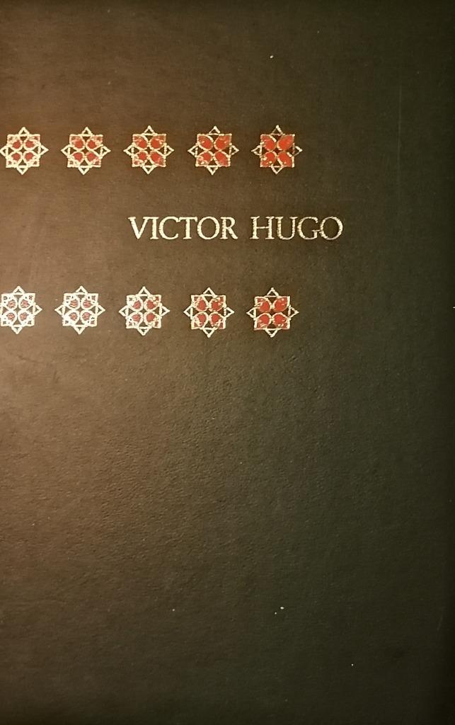 Victor Hugo – Genie en Wereld, Boeken, Ophalen of Verzenden, Zo goed als nieuw, Kunst en Cultuur