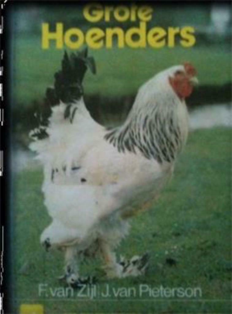 Grote hoenders, F. Van Zijl, J.Van Pieterson, Boeken, Dieren en Huisdieren, Gelezen, Pluimvee, Ophalen of Verzenden