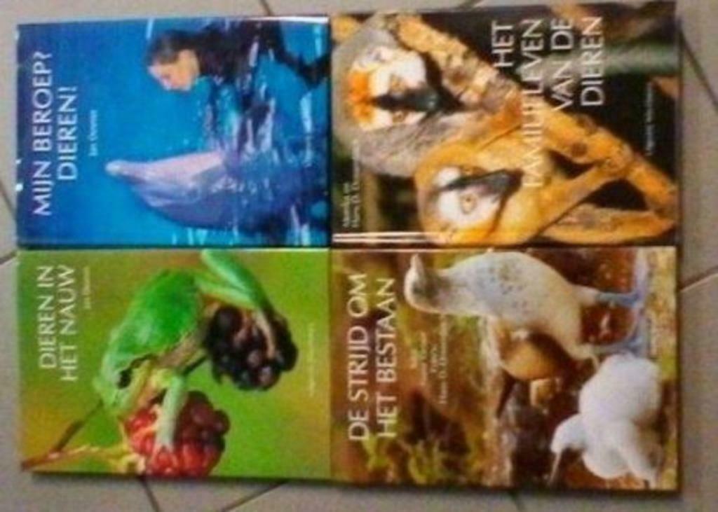 Boeken Artis Historia, Boeken, Prentenboeken en Plaatjesalbums, Ophalen of Verzenden, Gelezen, Plaatjesalbum