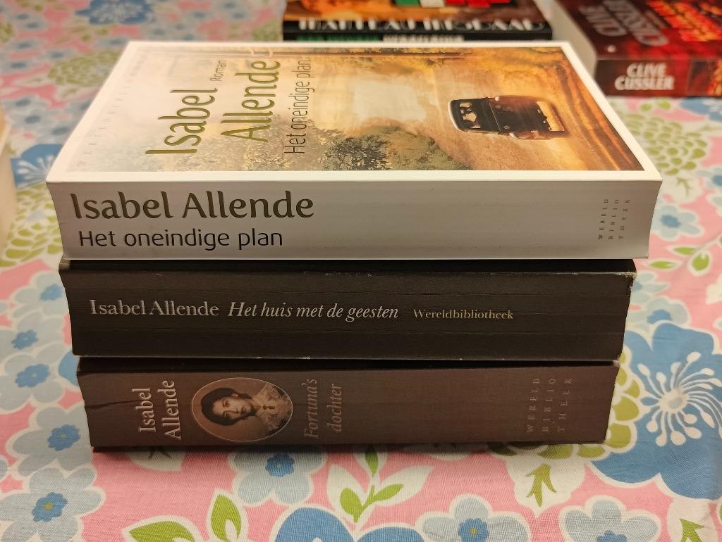 Lot 3 romans Isabel Allende, Ophalen of Verzenden, Zo goed als nieuw