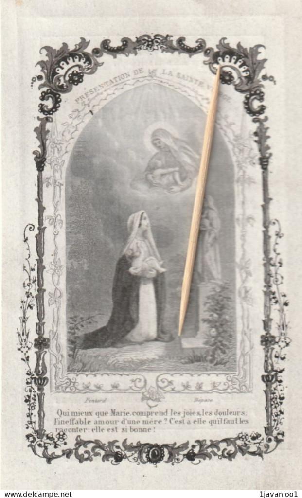 Adel, Ophalen of Verzenden