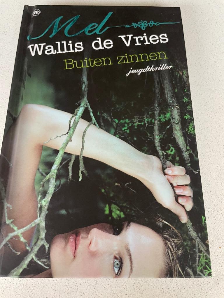 Buiten zinnen jeugdthriller, Boeken, Ophalen of Verzenden, Fictie, Mel Wallis de Vries, Zo goed als nieuw