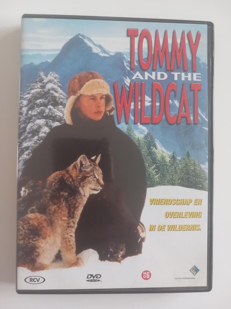 Dvd Tommy and the Wildcat (Jeugdfilm-Familiefilm) AANRADER, Ophalen of Verzenden, Zo goed als nieuw