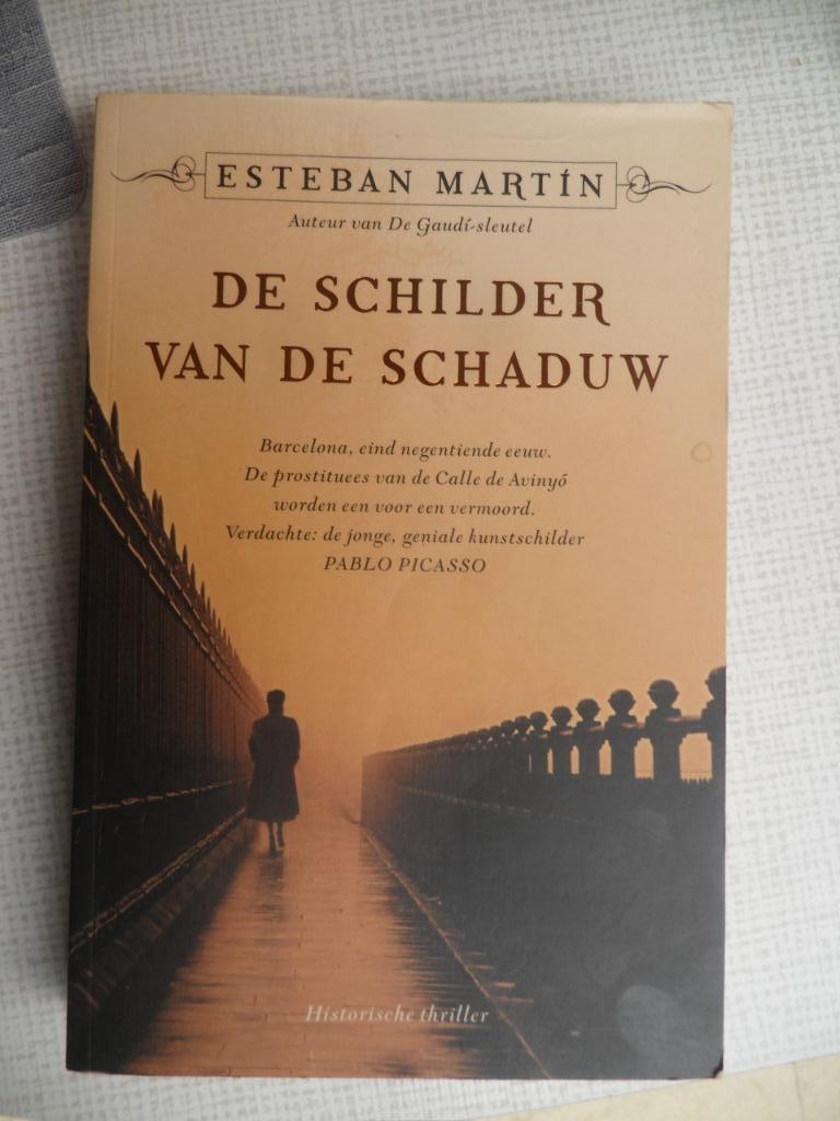 de schilder van de schaduw ( esteban martin ), Ophalen of Verzenden