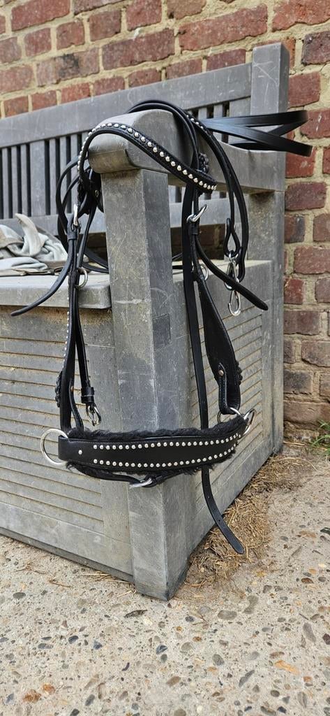 Te koop western hoofdstel, Dieren en Toebehoren, Ophalen of Verzenden, Zo goed als nieuw, Western