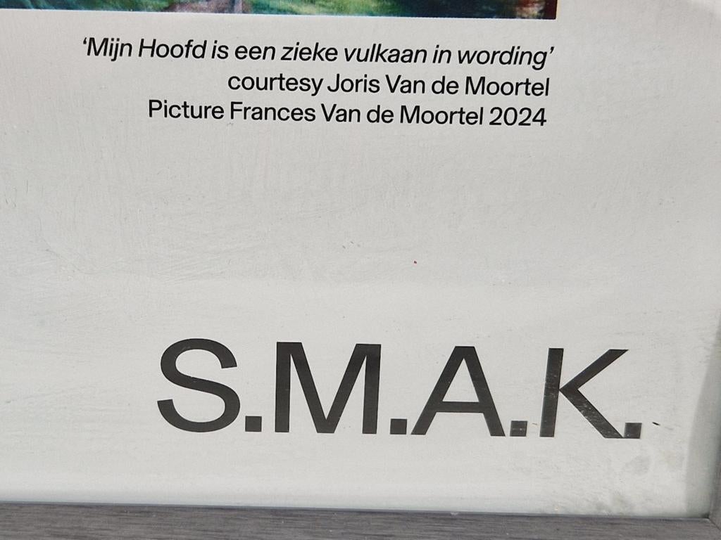 Affiche Joris van de moortel ,   Hell on Earth, Ophalen of Verzenden