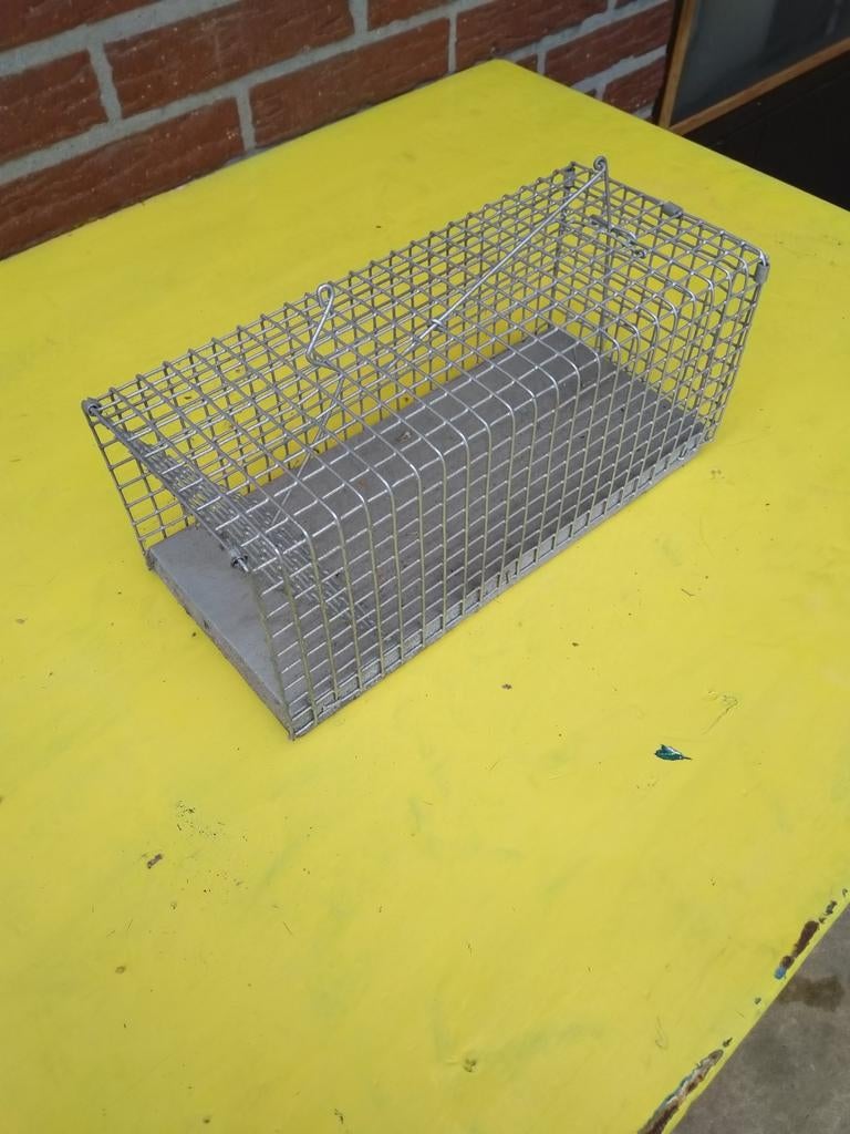 Muizen val zo goed als nieuw, Ophalen