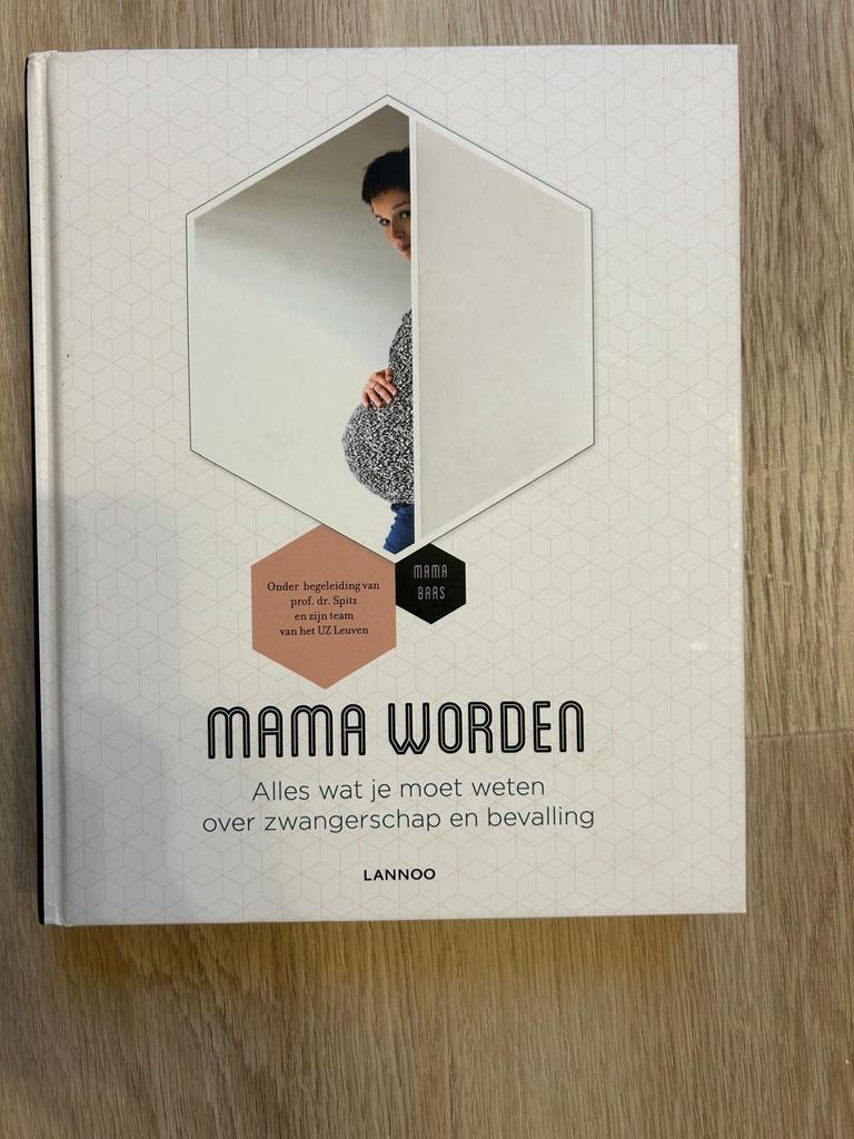 Bernard Spitz - Mama worden, Ophalen, Zwangerschap en Bevalling, Zo goed als nieuw, Bernard Spitz