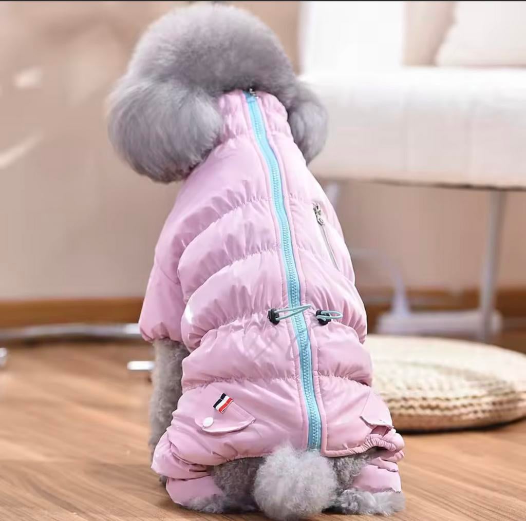 Manteau neuf petit chien femelle moins de 4.5 kgs, Animaux & Accessoires, Enlèvement ou Envoi, Neuf