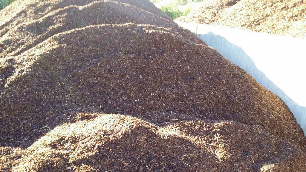 BOOMSCHORS -FRANSE SYLVESTER 10/20   76 EURO, Jardin & Terrasse, Pesticides, Enlèvement, Neuf, Répression des mauvaises herbes