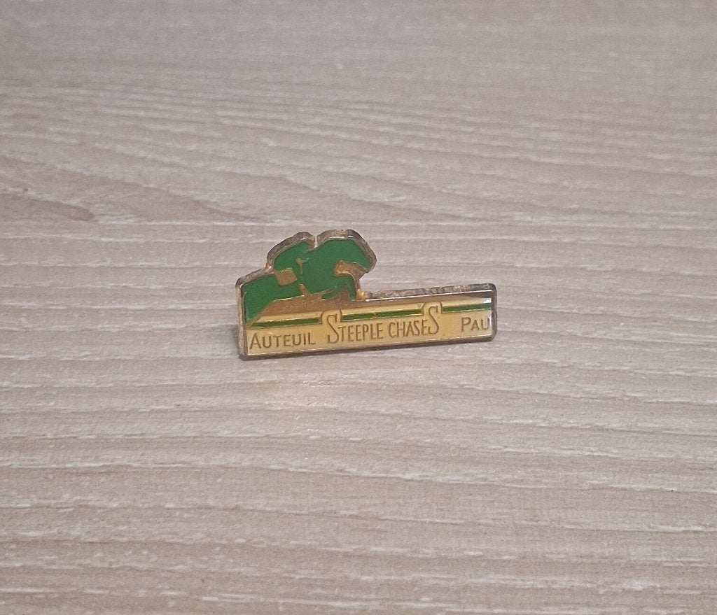 PIN - STEEPLE CHASE - PAARDENKOERS - COURSE A CHEVAL, Verzamelen, Speldjes, Pins en Buttons, Verzenden, Gebruikt, Sport, Speldje of Pin