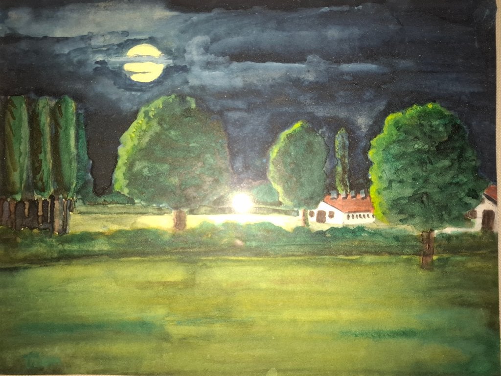 Toon Hermans uniek werk, Antiek en Kunst, Kunst | Schilderijen | Klassiek, Ophalen, Gesigneerd, Gouache