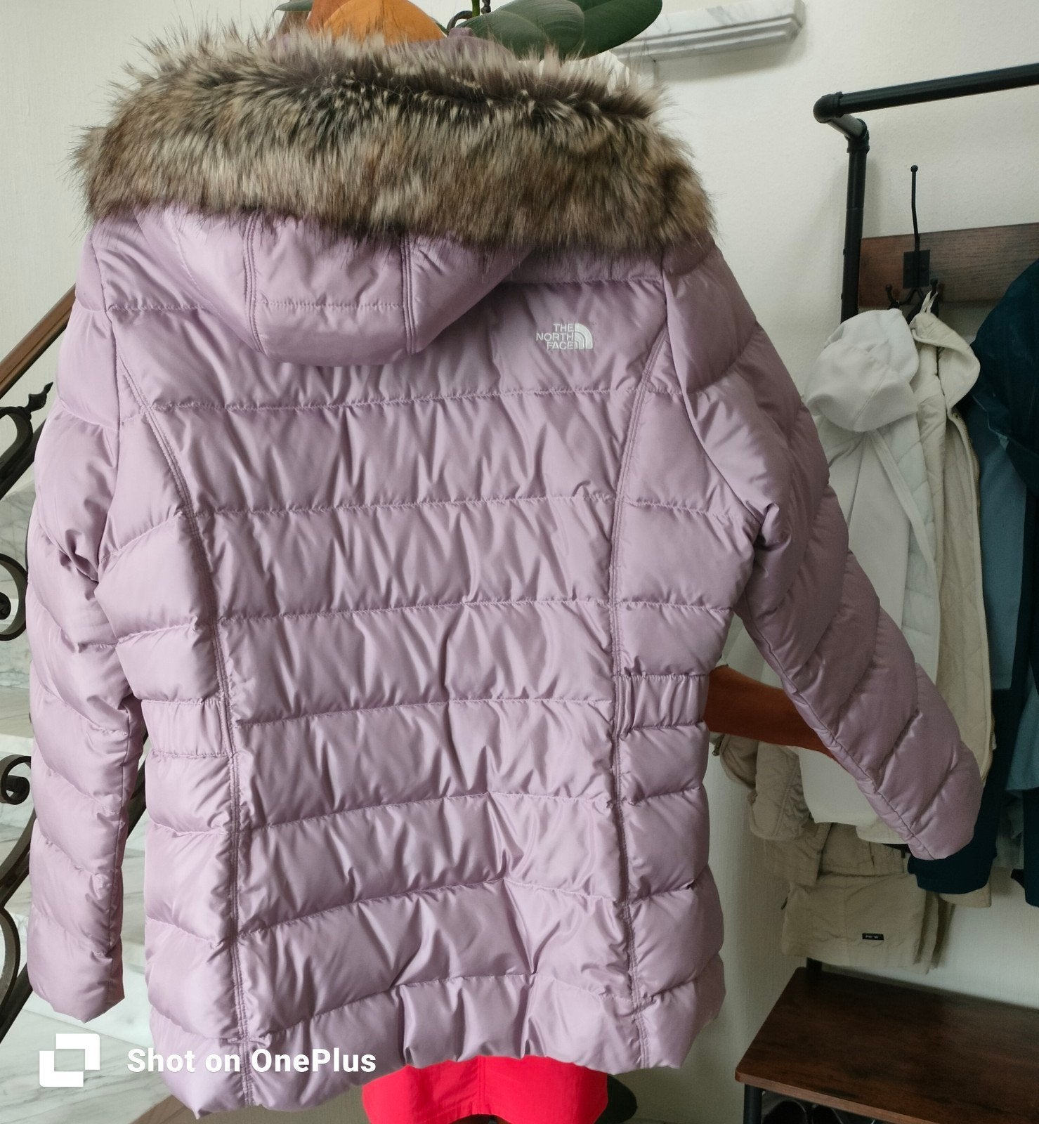 winterjas, Ophalen, Maat 42/44 (L), Zo goed als nieuw, The North Face