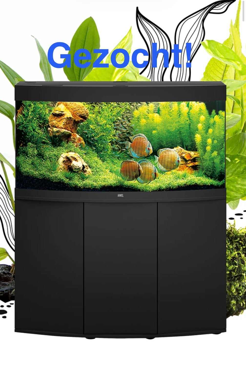 DRINGEND GEZOCHT: Aquarium van 120 liter of groter, Animaux & Accessoires, Poissons | Aquariums & Accessoires, Comme neuf, Enlèvement