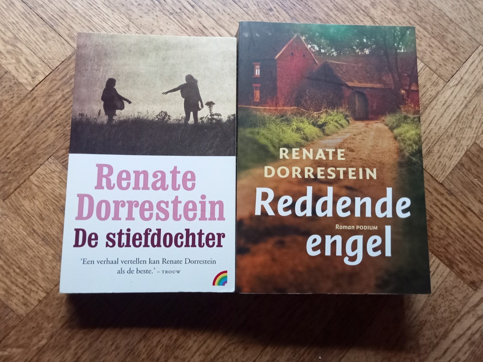 2 boeken Renate Dorrestein, Enlèvement ou Envoi, Utilisé