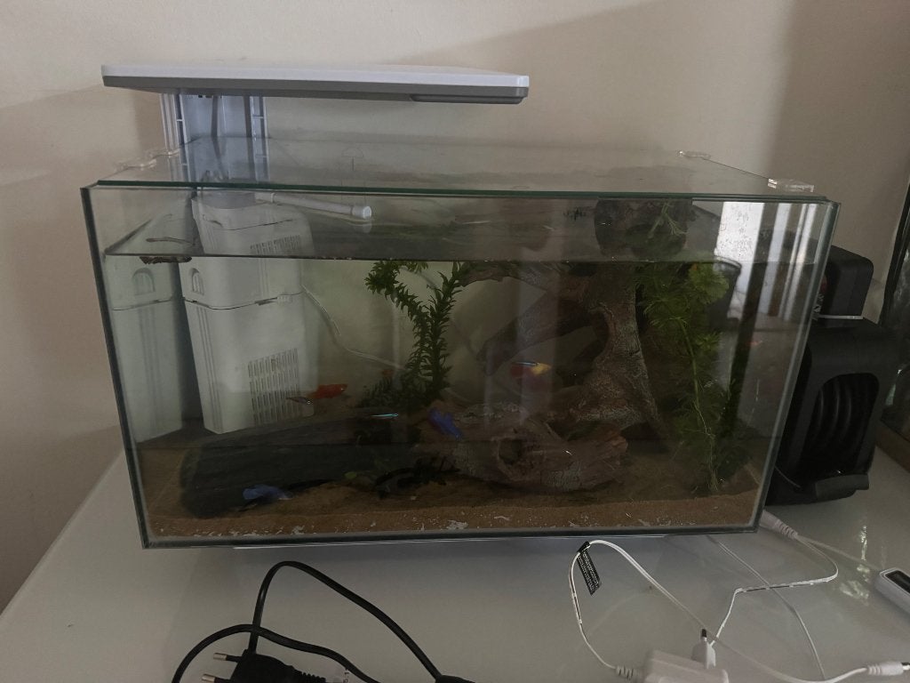 Aquarium 40L, Ophalen, Zo goed als nieuw, Leeg aquarium, Inclusief deksel