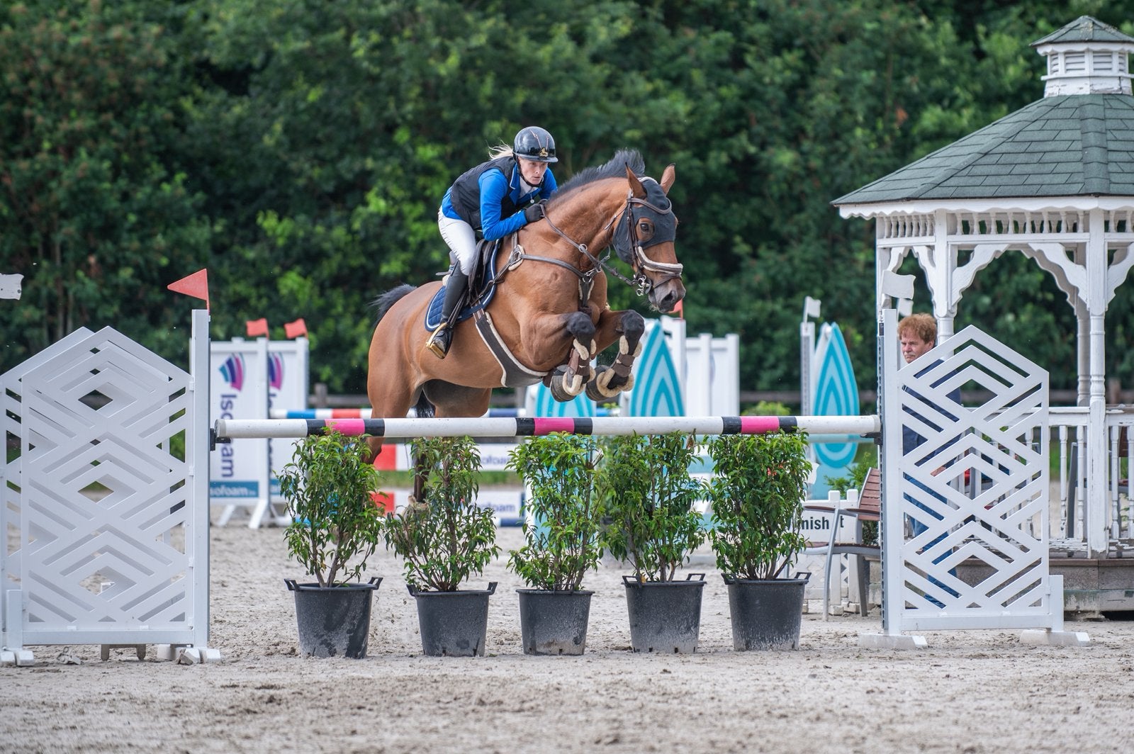 Gezocht paard om te trainen, Enlèvement