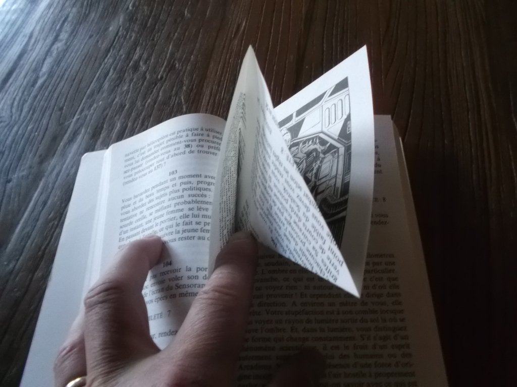 CURIOSITE livre dont vous êtes le héros LDVELH échange/vente, Enlèvement ou Envoi, Utilisé
