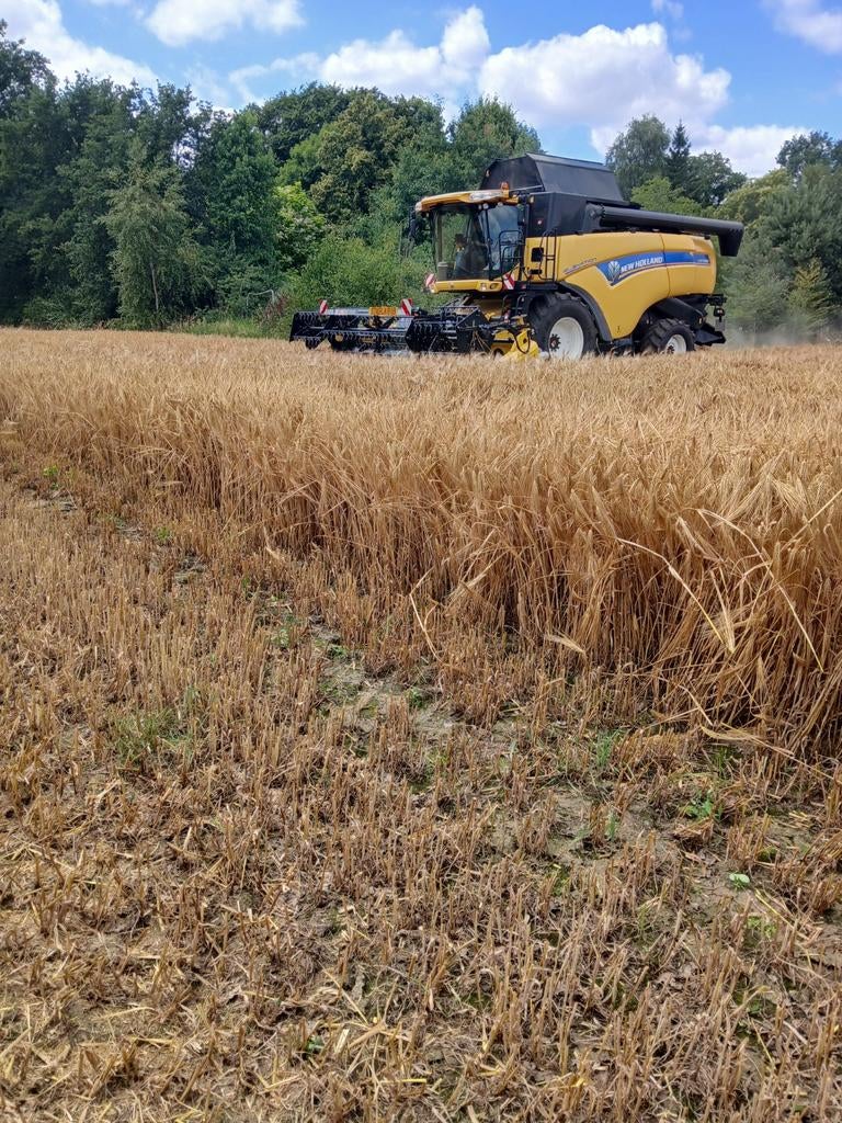 Kleine pakken gerste stro 2025, Ophalen
