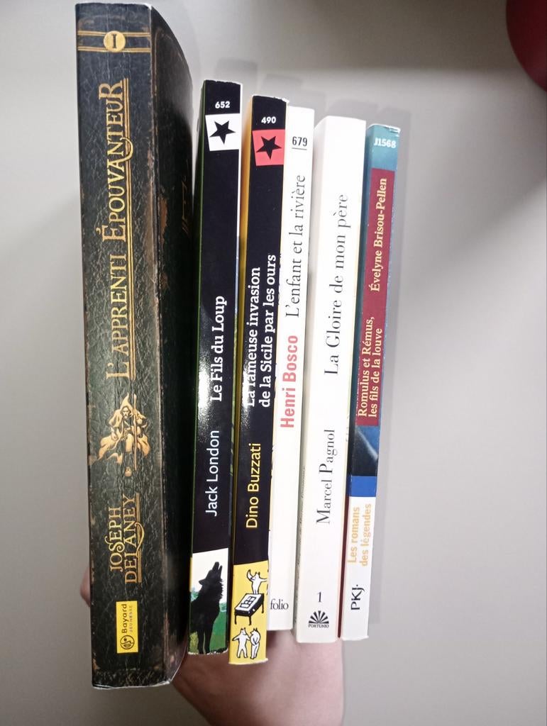 6 romans pour 10-12 ans, Livres, Enlèvement, Comme neuf, Fiction