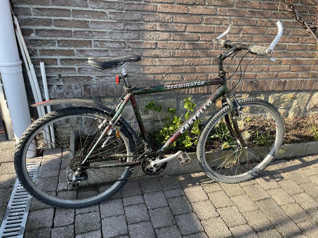 MTB MOUNTENBIKE Terminator designed by Castello, Gebruikt, Meer dan 20 versnellingen, Ophalen, Overige merken