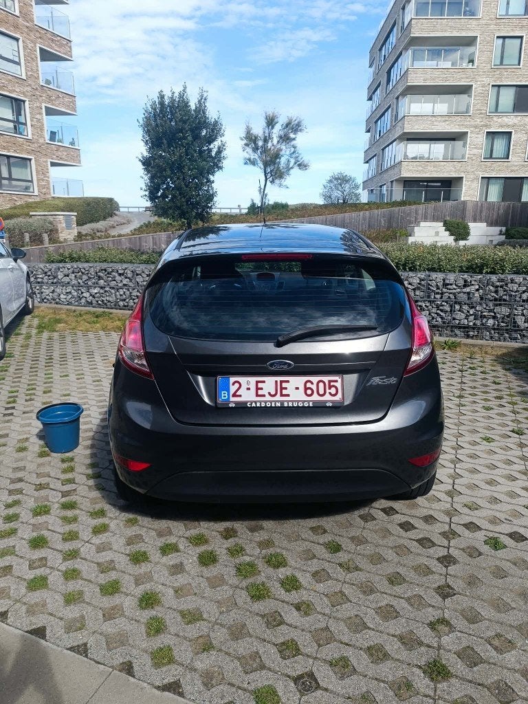 Ford Fiesta 1.25 Ambiente 82 CV, Argent ou Gris, Achat, Euro 6, Boîte manuelle