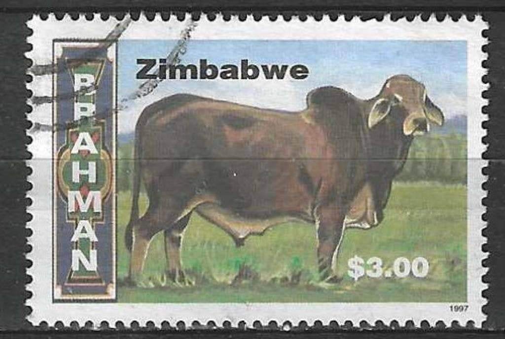Zimbabwe 1997 - Yvert 366 - Races bovines au Zimbabwe (ST), Envoi, Zimbabwe, Affranchi