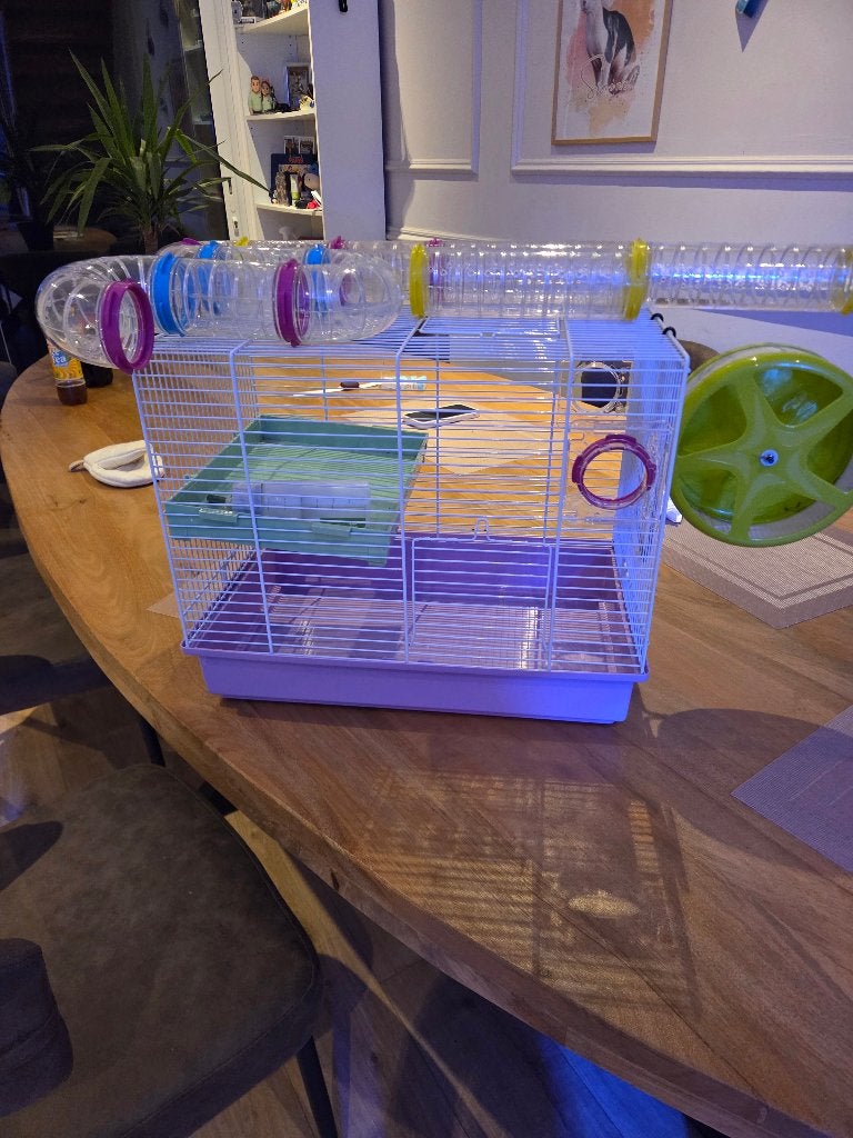Cage pour hamster neuve avec accessoires, Animaux & Accessoires, Neuf, Cage, Hamster, 60 à 90 cm