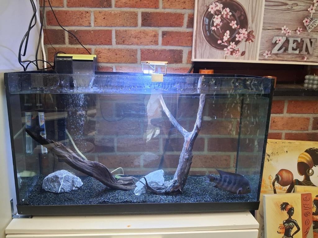 Aquarium complet 80/45/30, Animaux & Accessoires, Enlèvement, Utilisé