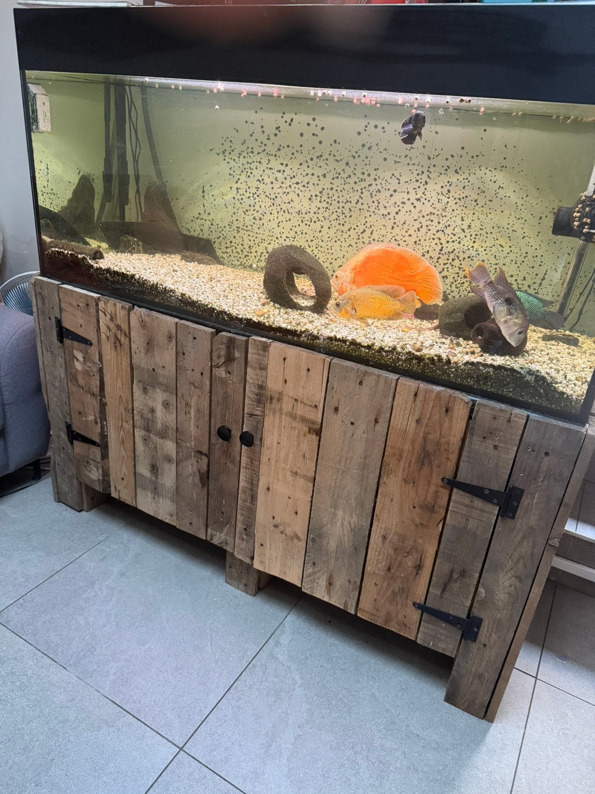 Aquiarium tekoop met vissen + pomp + wave maker+ warmte bron, Ophalen, Pomp, Gebruikt