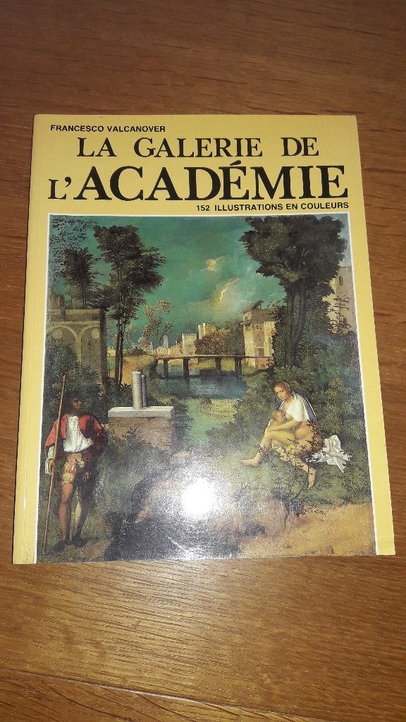 Livre sur la peinture - La Galerie de l'Académie, Ophalen, Nieuw