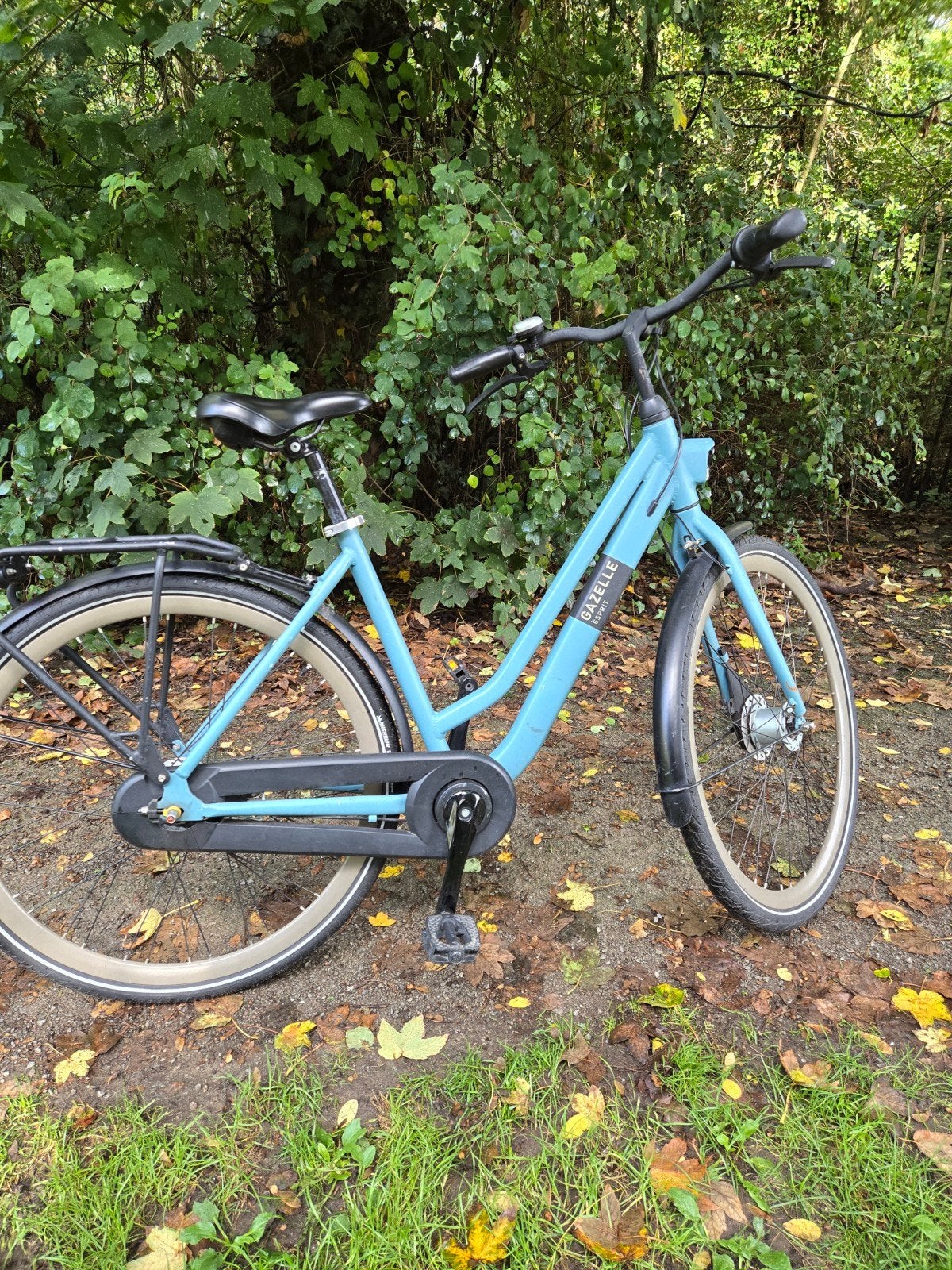 DAMESFIETS GAZELLE, Fietsen en Brommers, Ophalen
