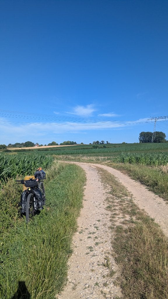 vélo de montagne 29", 53 à 57 cm, Enlèvement, Utilisé, Frein à disque