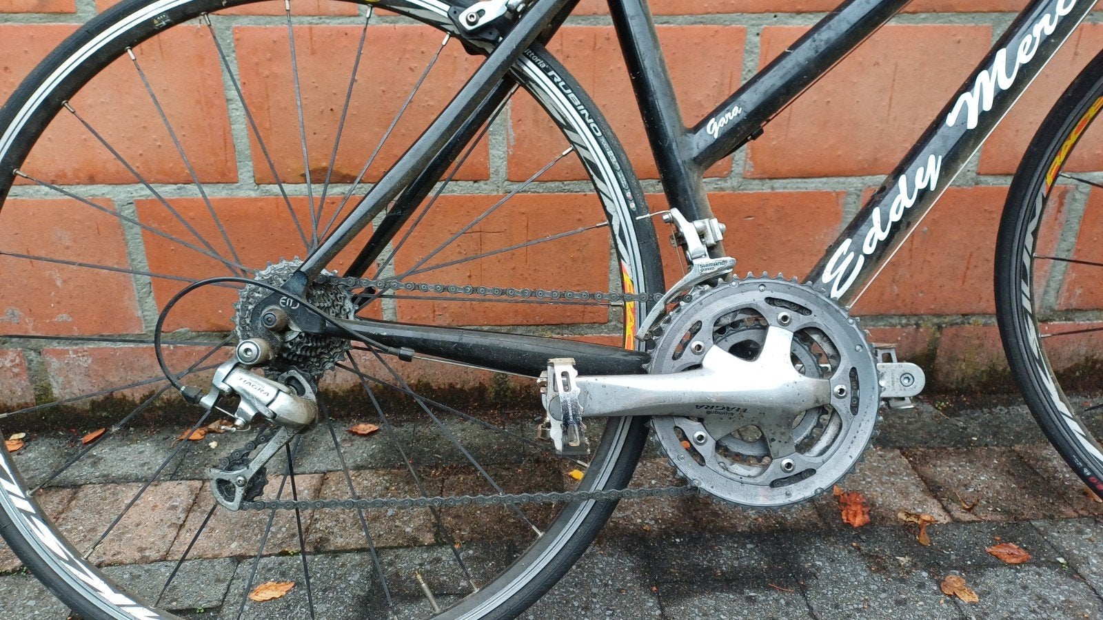 Lady koersfiets Eddy Merckx, Autres marques, Frein sur jante, Enlèvement, Utilisé