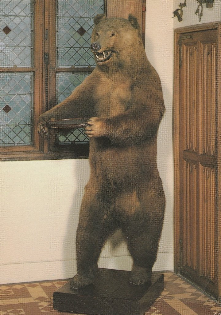 GRIZZLY  BEER (  in Kasteel van Loppem ), Ophalen of Verzenden, Ongelopen, Wild dier