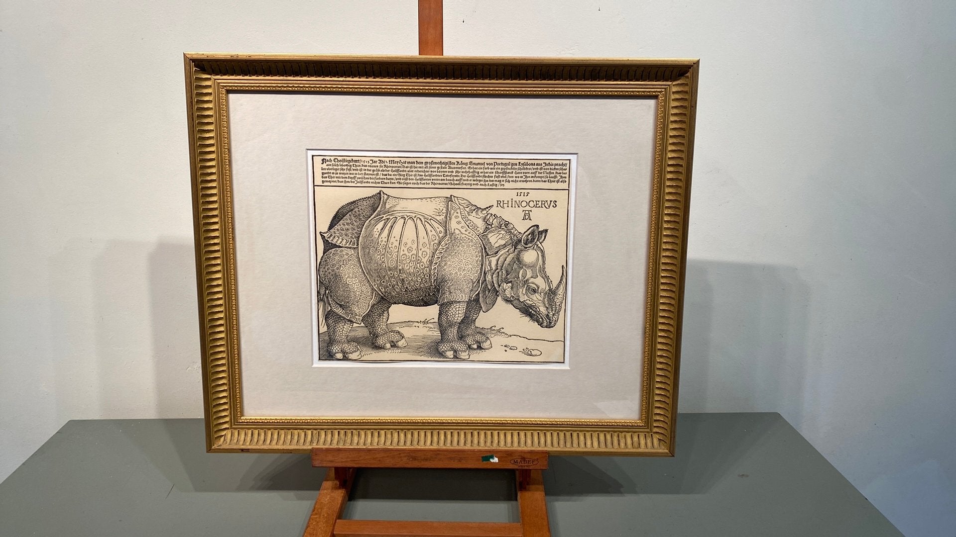 Albrecht Dürer’s Rhinoceros, Ophalen, Ingelijst, Overige technieken, 24 cm