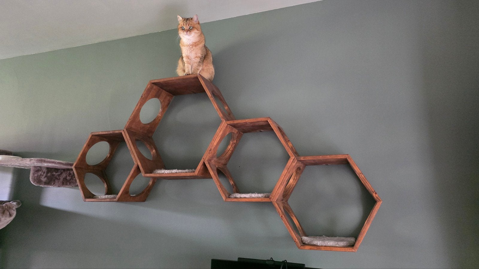 Wandmeubel voor katten in hout, Dieren en Toebehoren, Ophalen