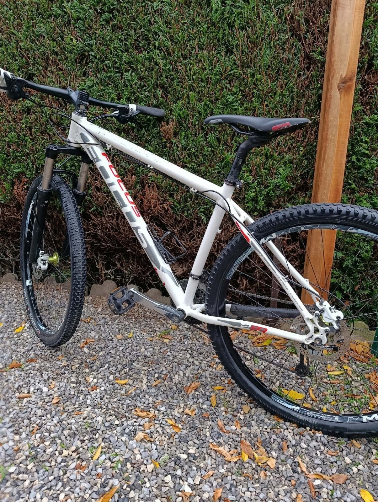 VTT FOCUS Blackforest 29r , 29 pouc.cadre (M) pers.1,64/1,75, Vélos & Vélomoteurs, Autres marques, 45 à 49 cm, Comme neuf, Enlèvement