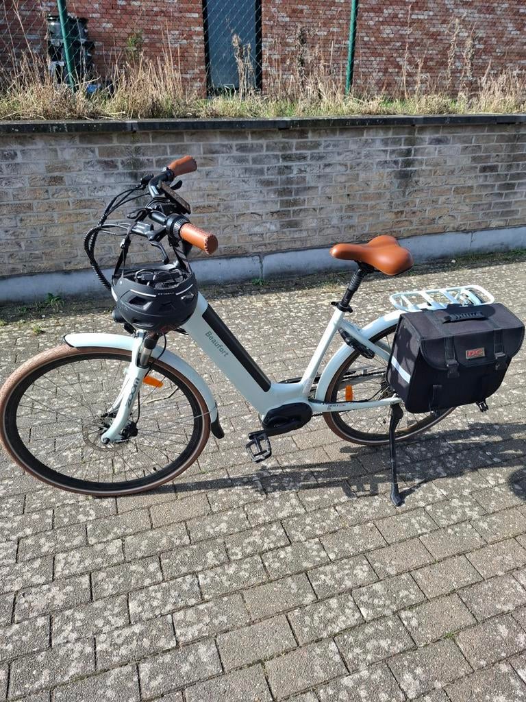 Elektrische fiets BEAUFORT met fietskar voor 2 kinderen., Fietsen en Brommers, Ophalen