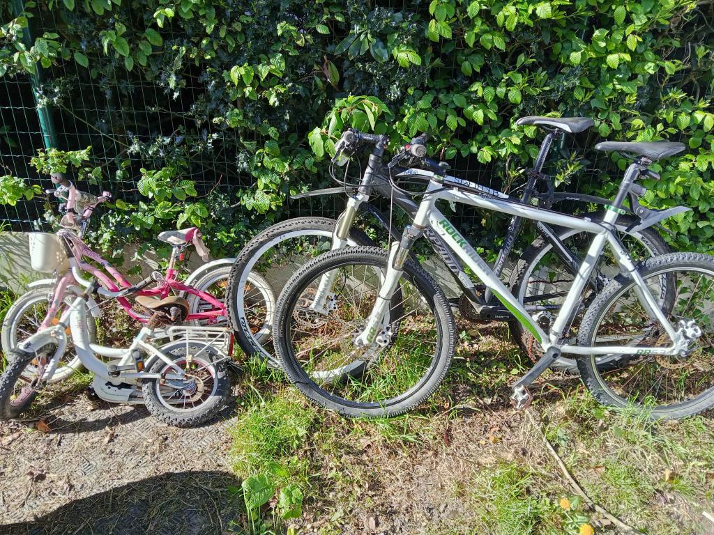 2 herenfietsen 2 kinderfietsen, Fietsen en Brommers, Gebruikt, Versnellingen, Schijfrem, Ophalen